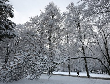 Χιονιάς πλήττει όλη την Ευρώπη (φωτό)